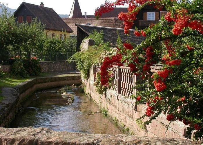 Gîte chez Mamie Schlop Kientzheim Zimmer foto